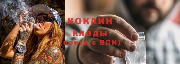 индика Баксан
