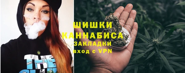 индика Баксан