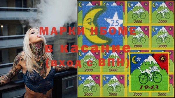 индика Баксан