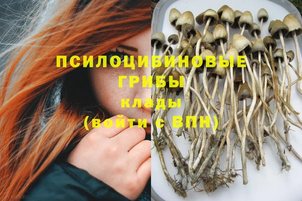 индика Баксан