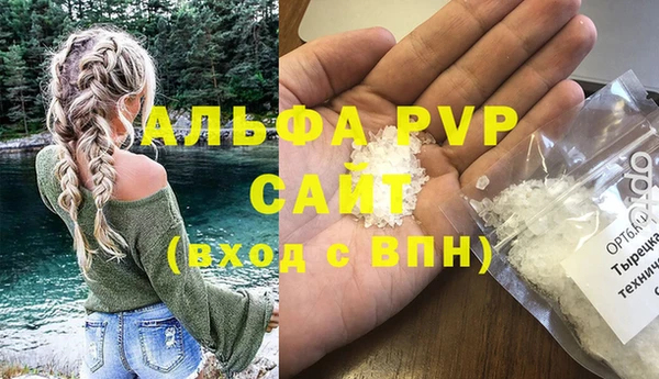 индика Баксан