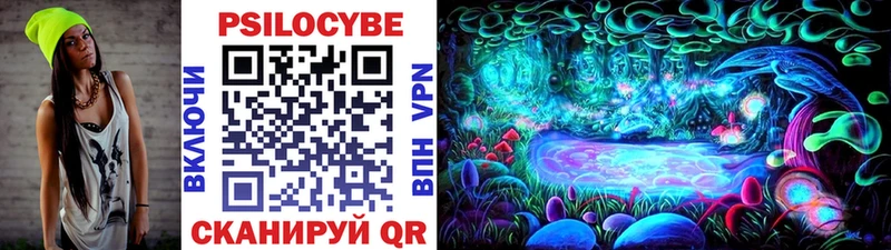 Псилоцибиновые грибы Psilocybe Ворсма